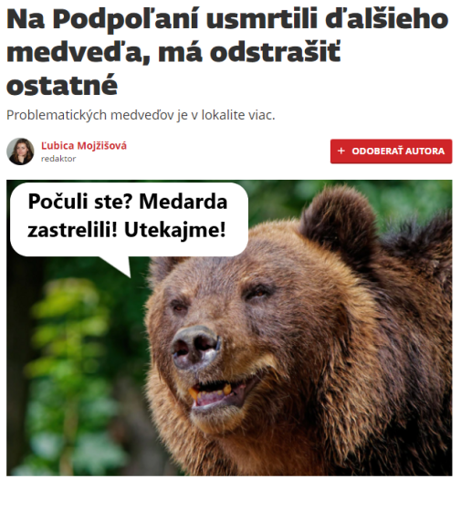 Hm... medvede si dajú vedieť
